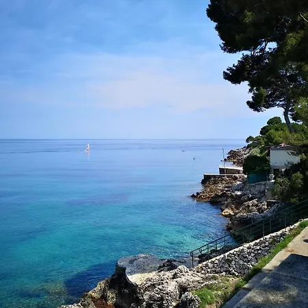 Apartment Chez Fifine Roquebrune-Cap-Martin